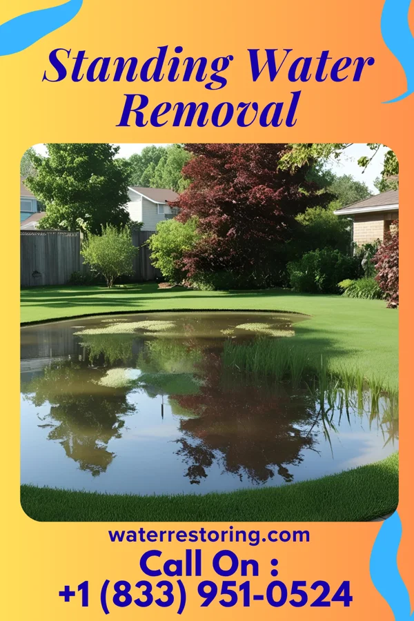 Standing Water Removal in Osage, IA